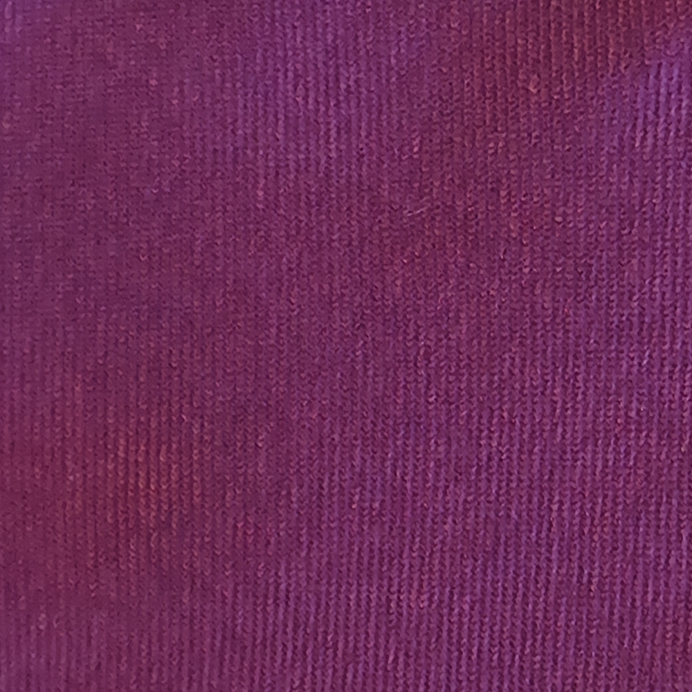 J. Crew Purple Textured Tie